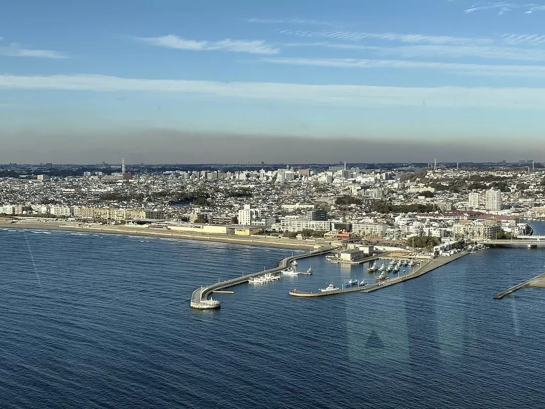 旅游推荐一人游🤬：东京六天五晚