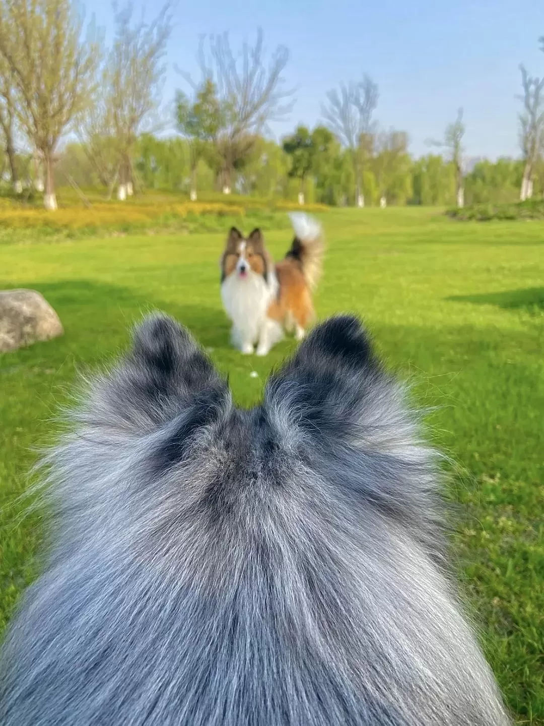 旅游推荐两人游：在⚡巴厘岛，看见生命的一百种可能🥳