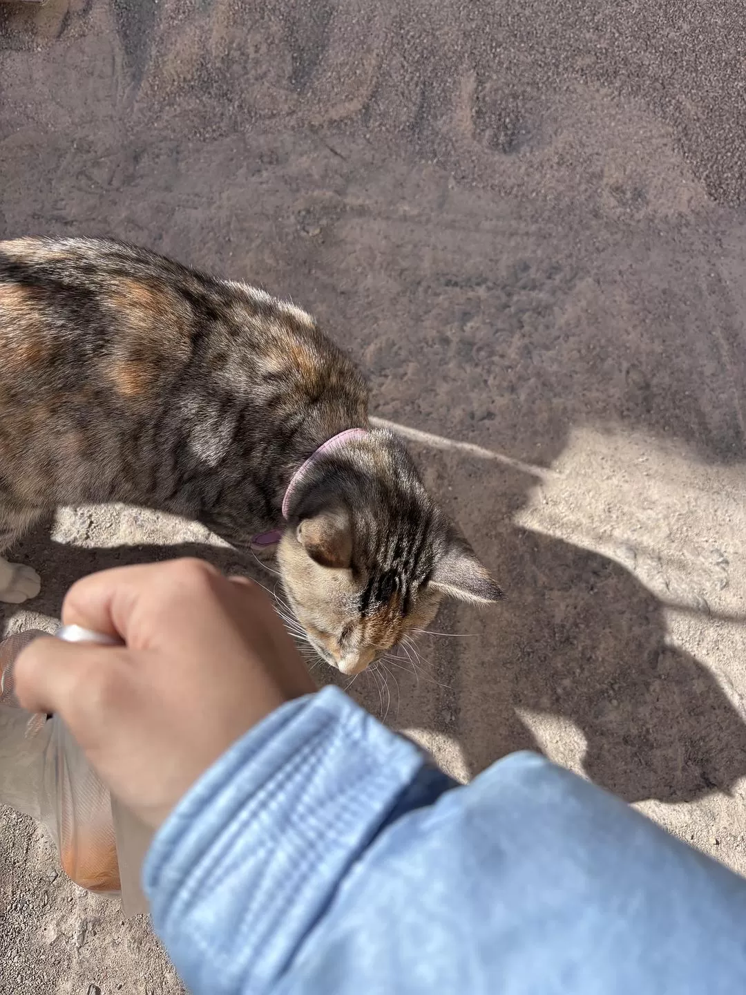 旅游推荐一人🤬游：丽江香格里拉六天游