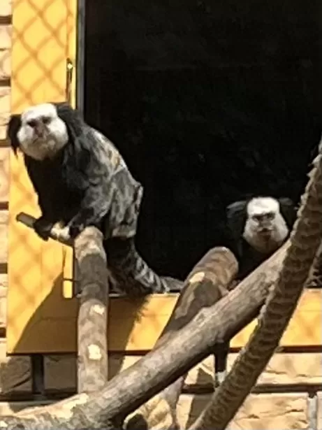 旅游推荐国外游：贝加尔湖名不虚💗传！