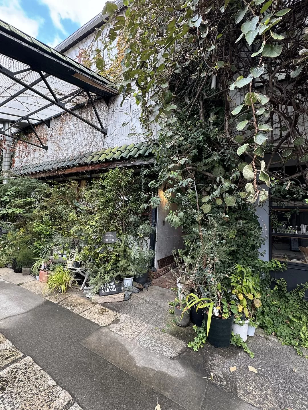 旅游推💓荐一人游：大阪、京都街溜子旅行（内含大量图）