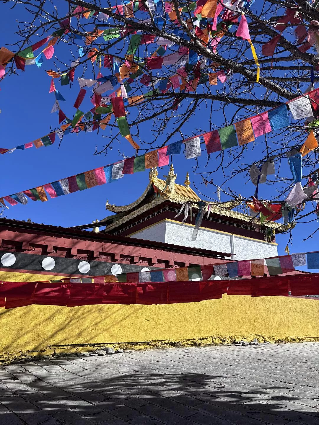 旅游推荐一人🤬游：丽江香格里拉六天游