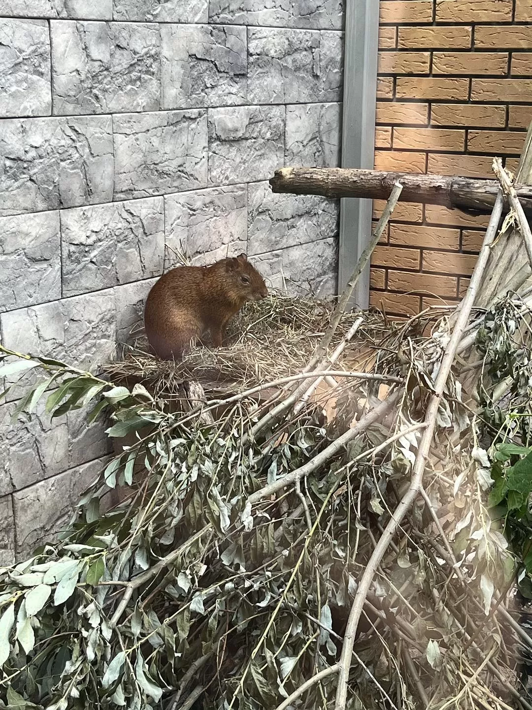 旅游推荐国外游：贝加尔湖名不虚💗传！