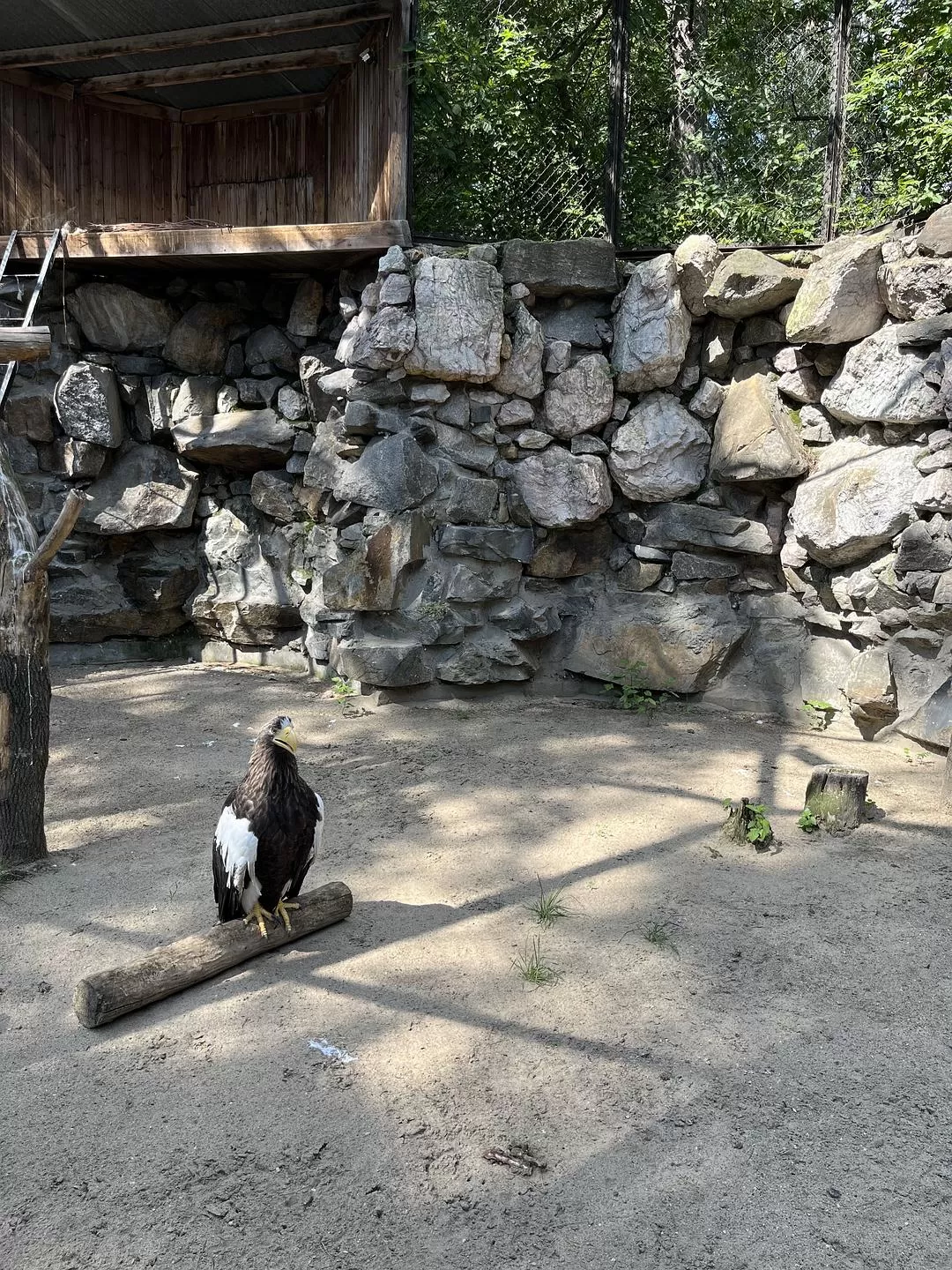 旅游推荐国外游：贝加尔湖名不虚💗传！