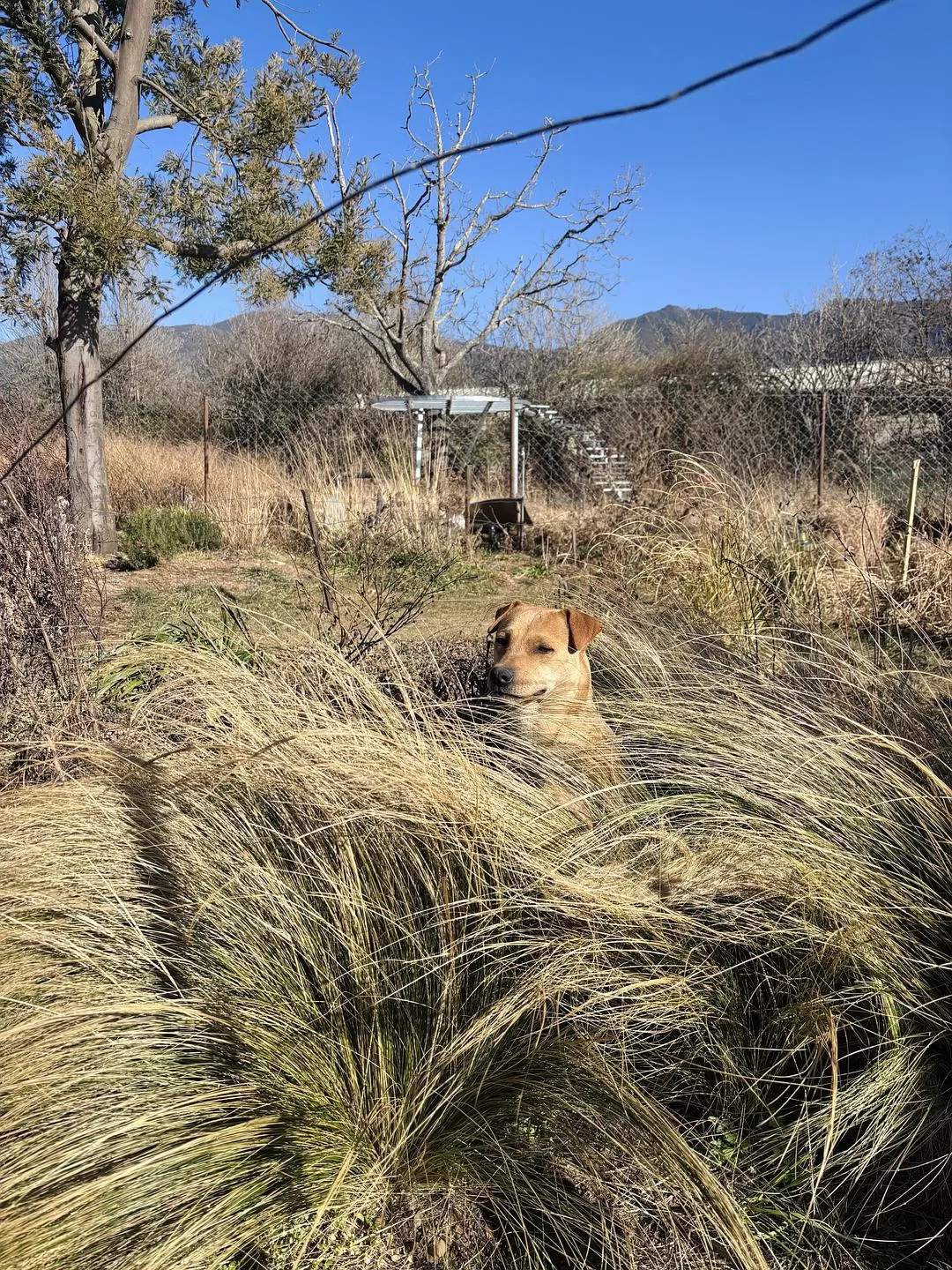 旅游推荐一人🤬游：丽江香格里拉六天游