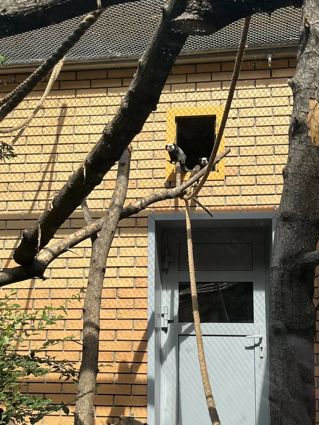 旅游推荐国外游：贝加尔湖名不虚💗传！