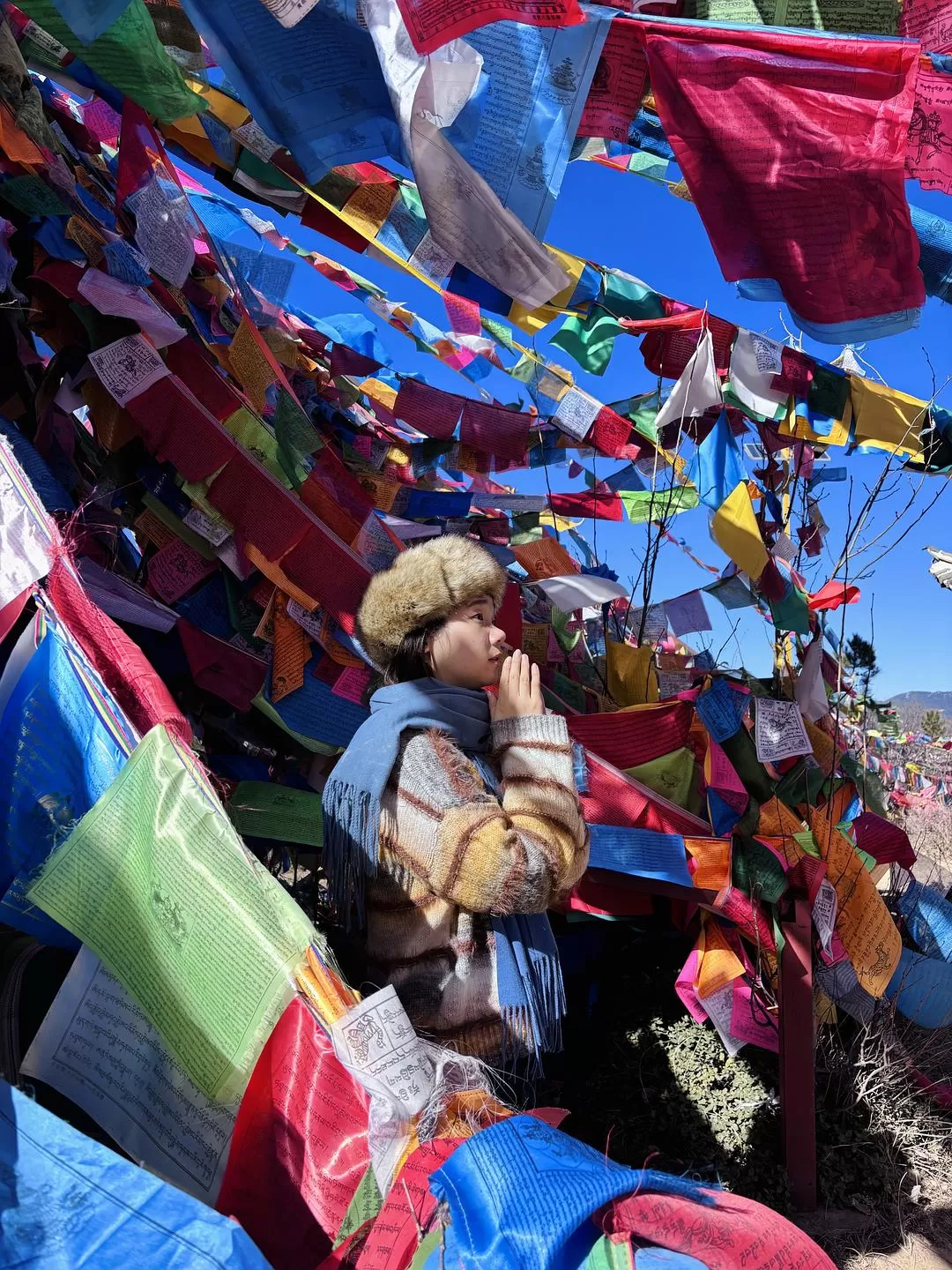 旅游推荐一人🤬游：丽江香格里拉六天游