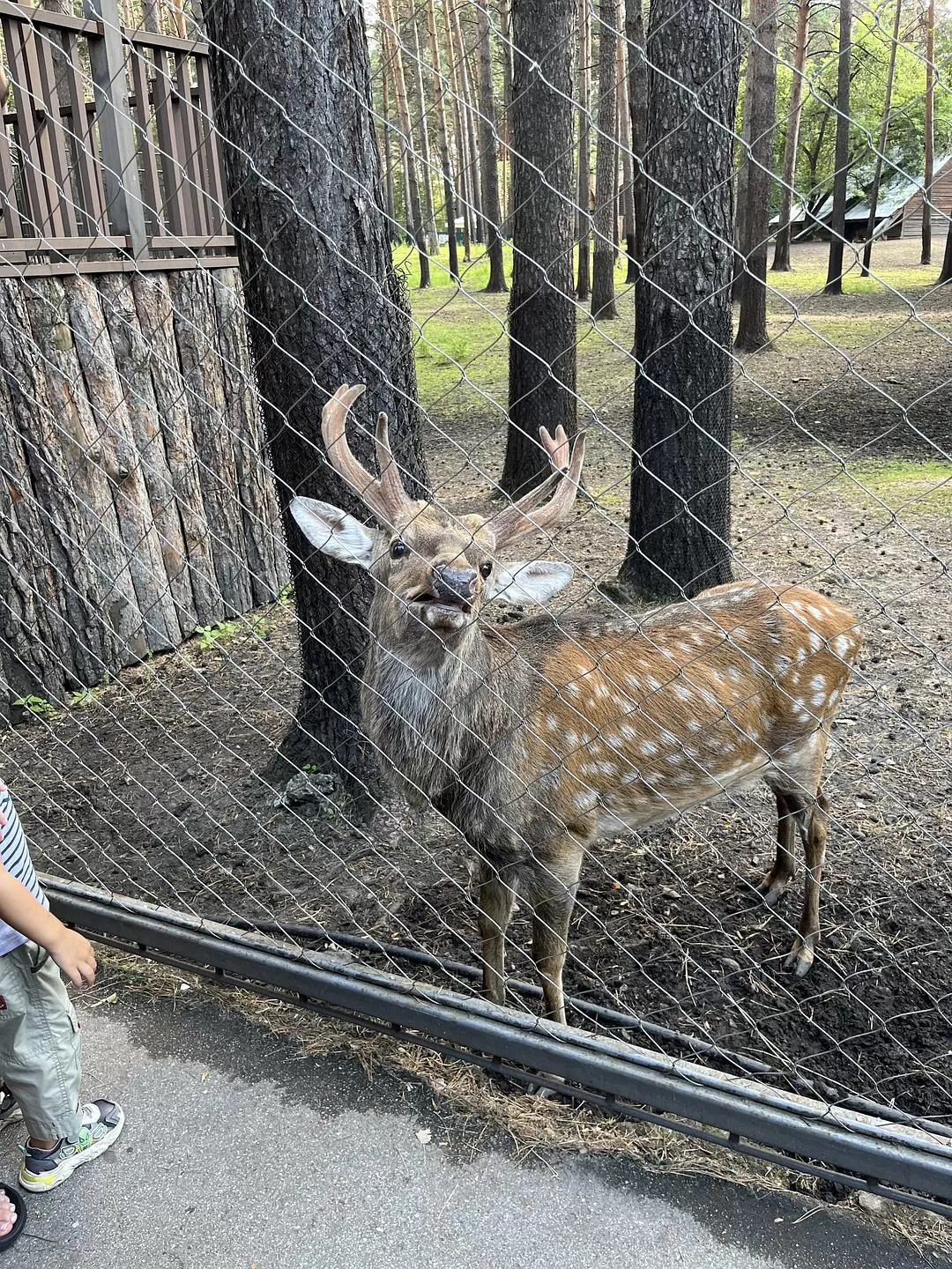 旅游推荐国外游：贝加尔湖名不虚💗传！
