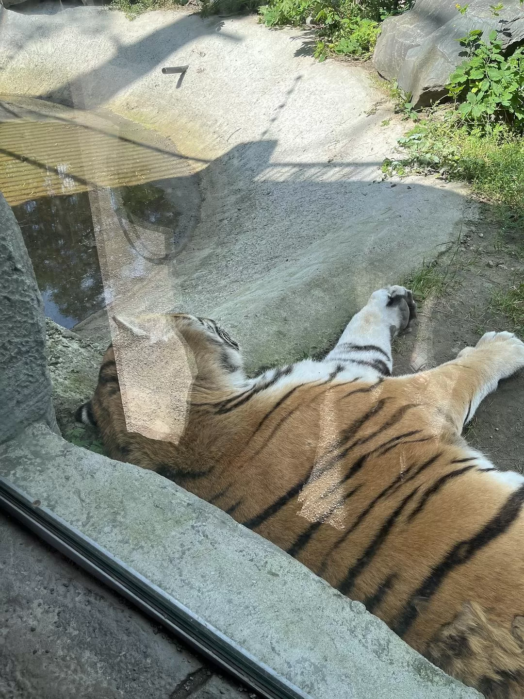 旅游推荐国外游：贝加尔湖名不虚💗传！