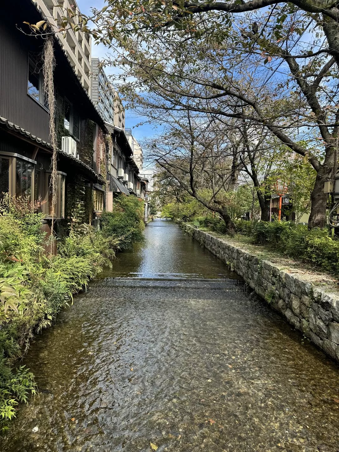旅游推💓荐一人游：大阪、京都街溜子旅行（内含大量图）