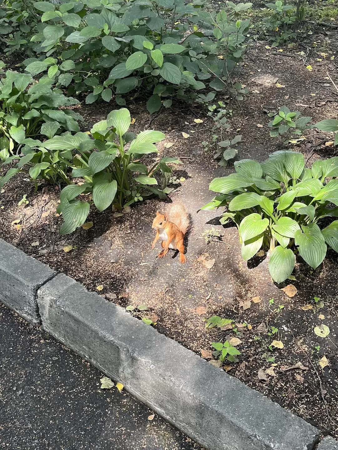 旅游推荐国外游：贝加尔湖名不虚💗传！