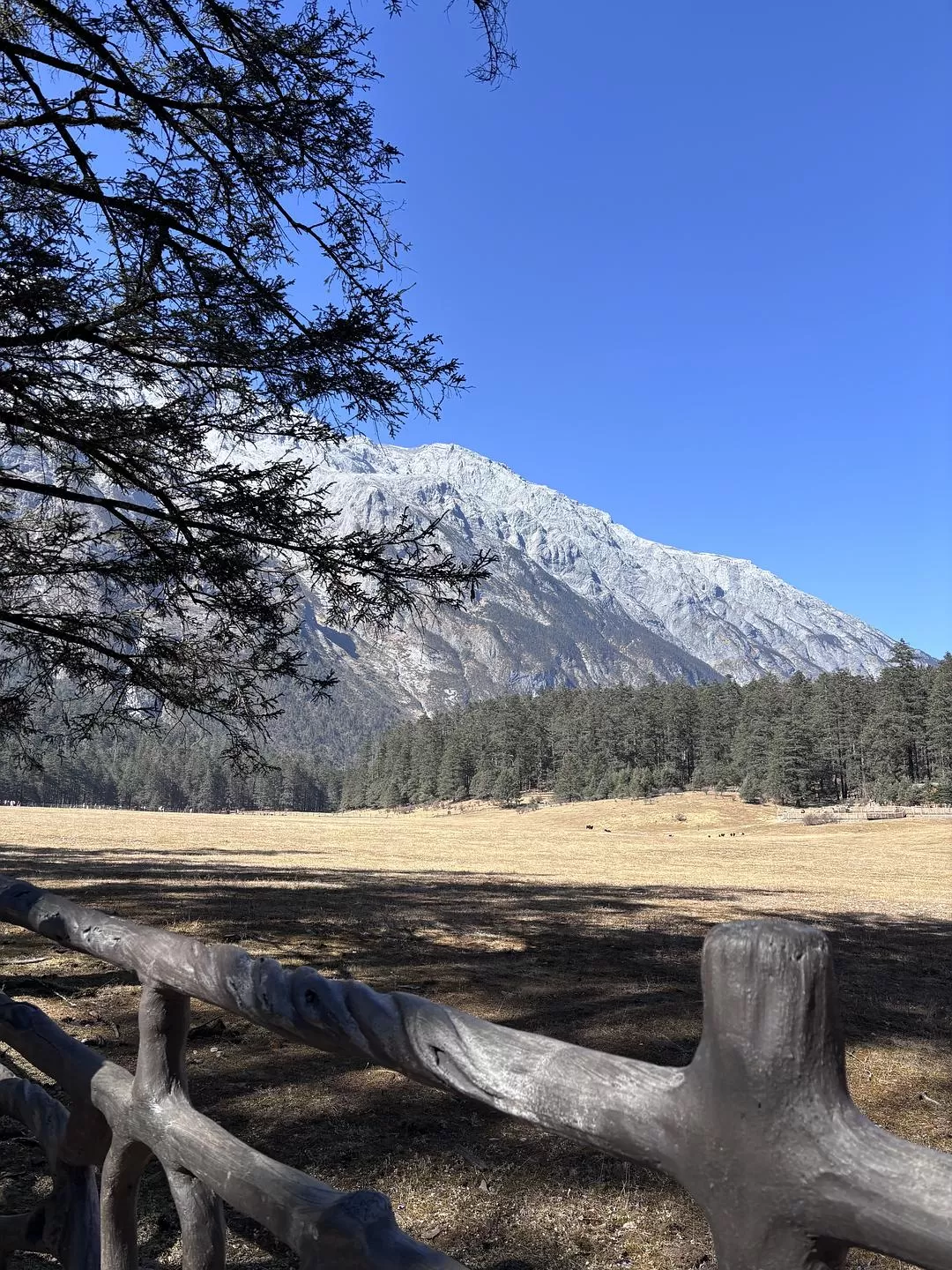 旅游推荐一人🤬游：丽江香格里拉六天游