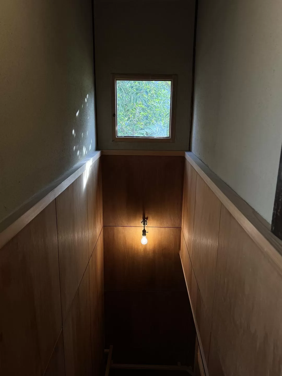 旅游推💓荐一人游：大阪、京都街溜子旅行（内含大量图）