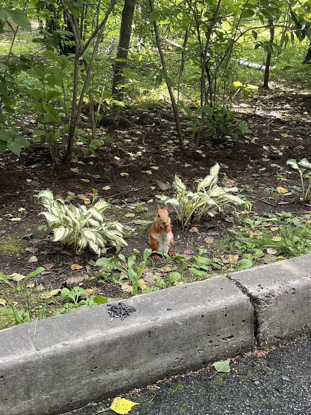 旅游推荐国外游：贝加尔湖名不虚💗传！