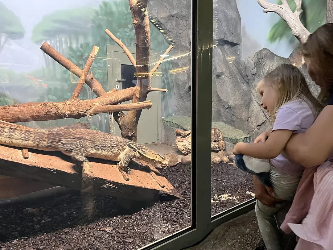 旅游推荐国外游：贝加尔湖名不虚💗传！