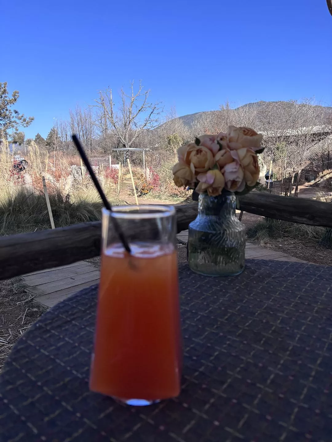 旅游推荐一人🤬游：丽江香格里拉六天游