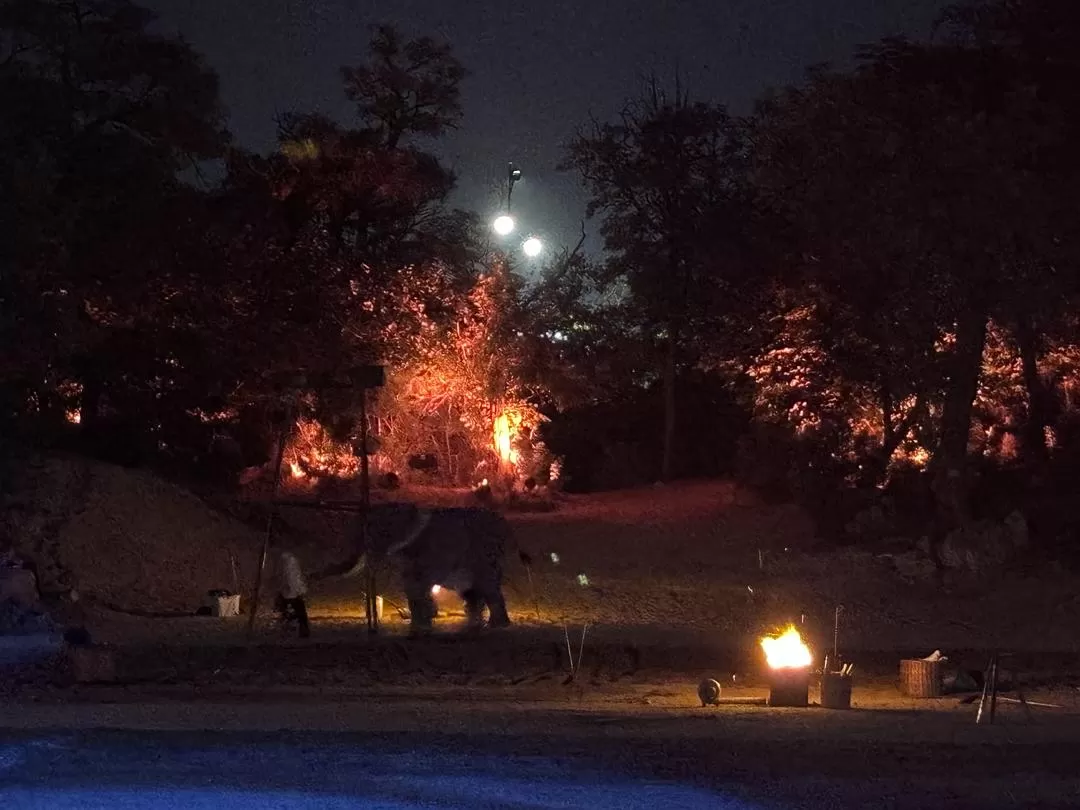 旅游推荐一人游：开封两💯日半游