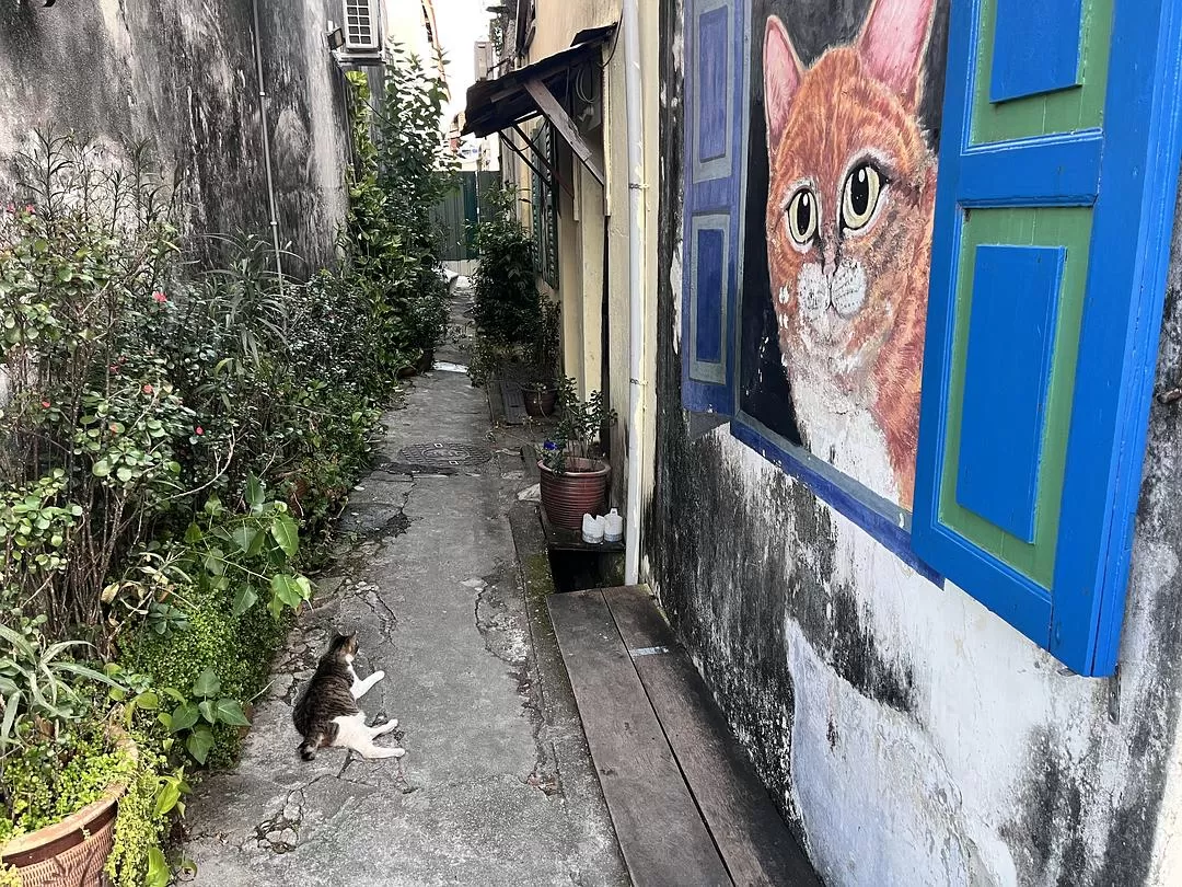 旅游推荐国外游:独闯马来西亚游记·蕉风椰🤬雨南洋梦-01槟城篇