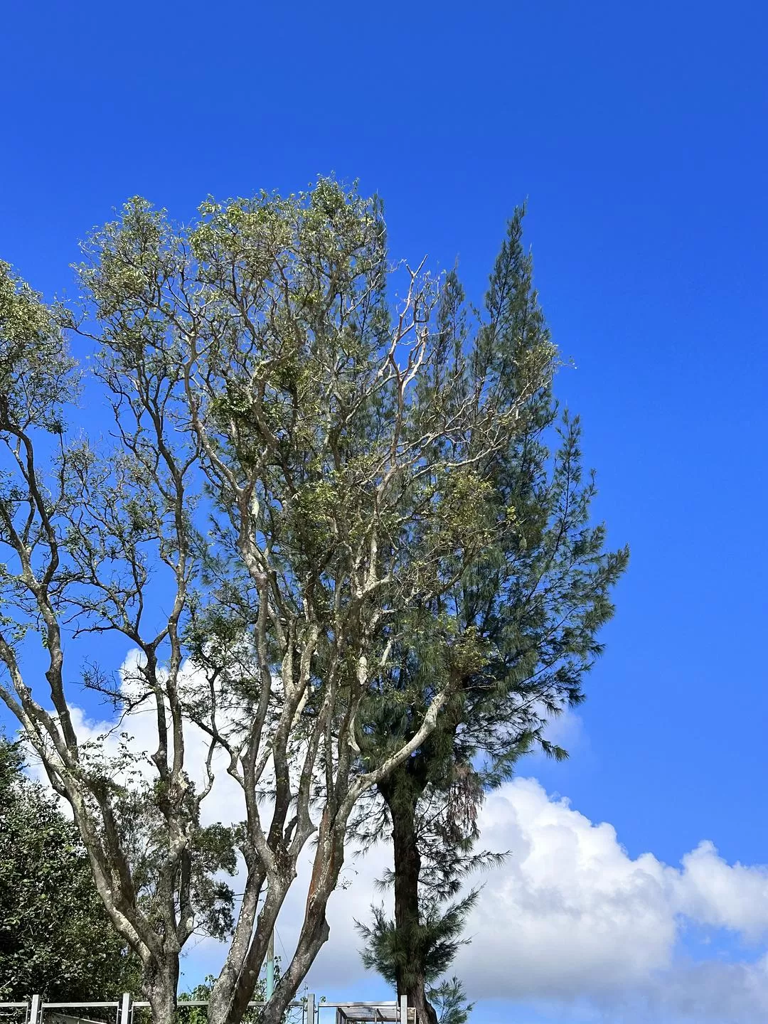 旅游推荐两人💖游：去香港看果冻海