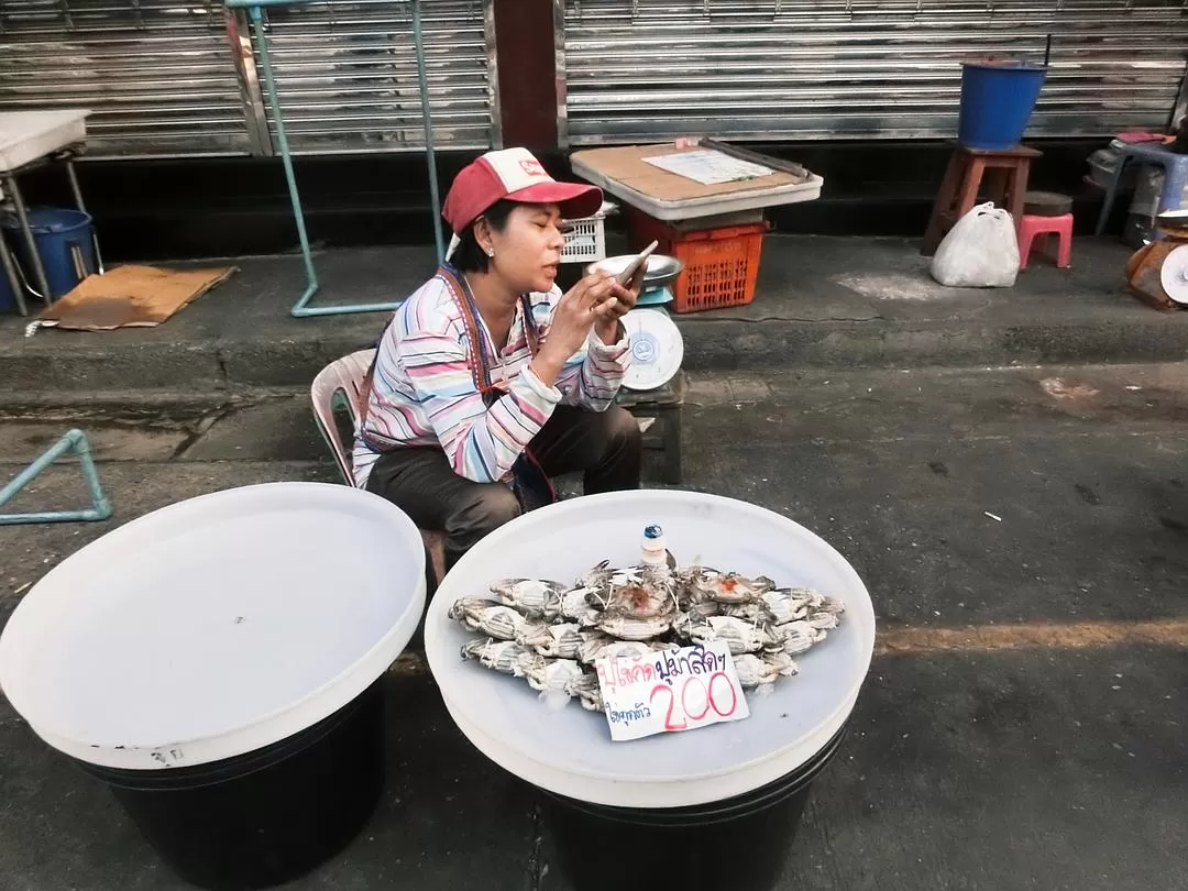 旅游推荐国外游：在泰北骑个车🚲，在泰南坐火车🚉玩点不一样的🥈！！（更完啦！大家有什么想多了解的我再补！）