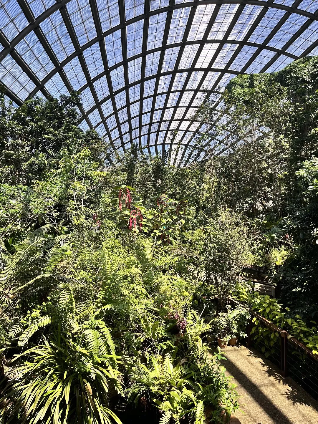 旅游推荐国外游：独闯马来西亚游记·蕉风椰🤬雨南洋梦-01槟城篇