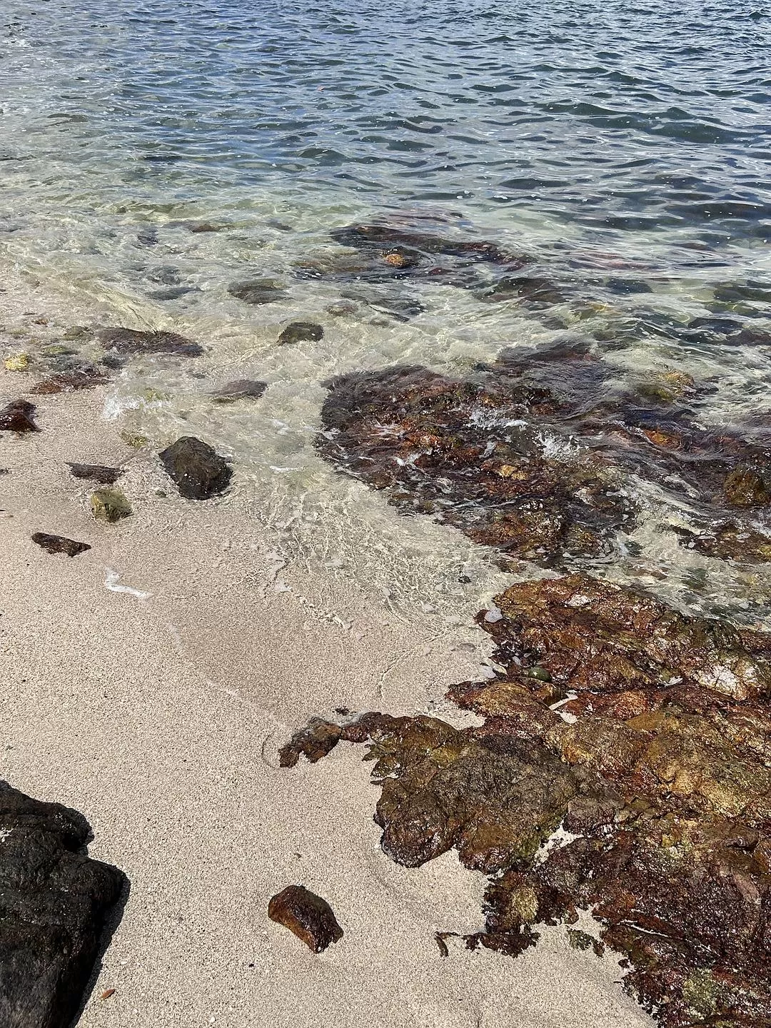 旅游推荐两人💖游：去香港看果冻海