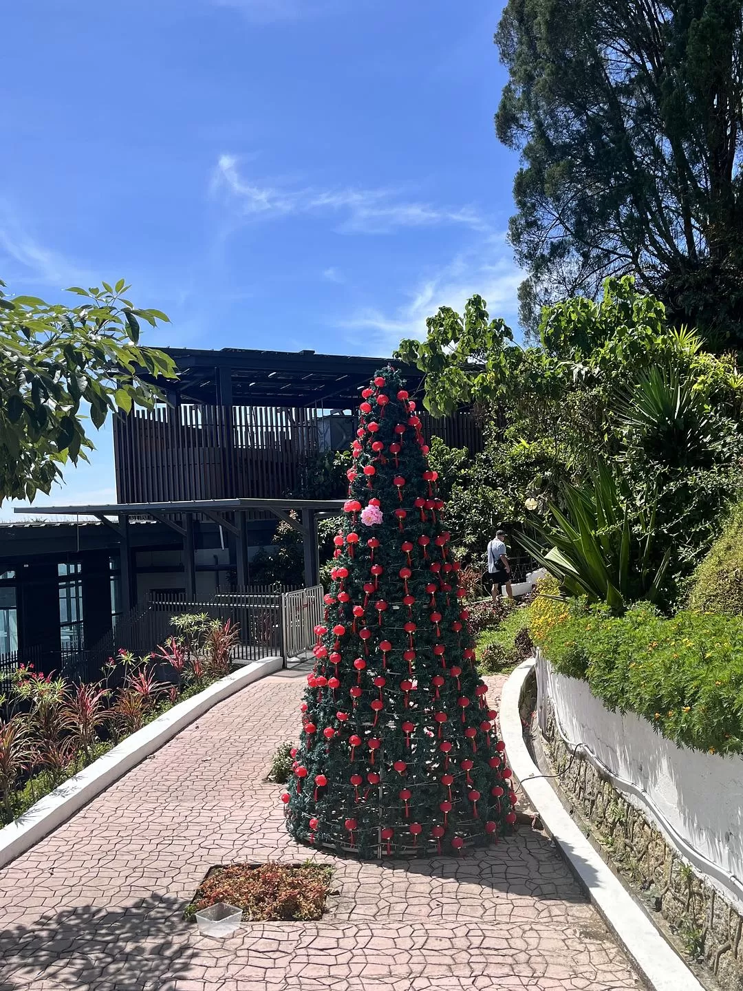 旅游推荐国外游：独闯马来西亚游记·蕉风椰🤬雨南洋梦-01槟城篇