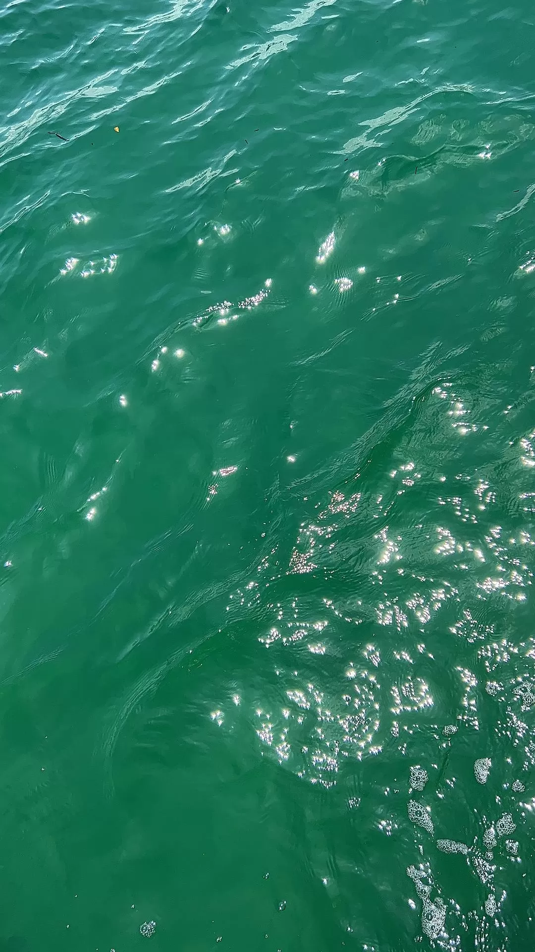 旅游推荐两人💖游：去香港看果冻海