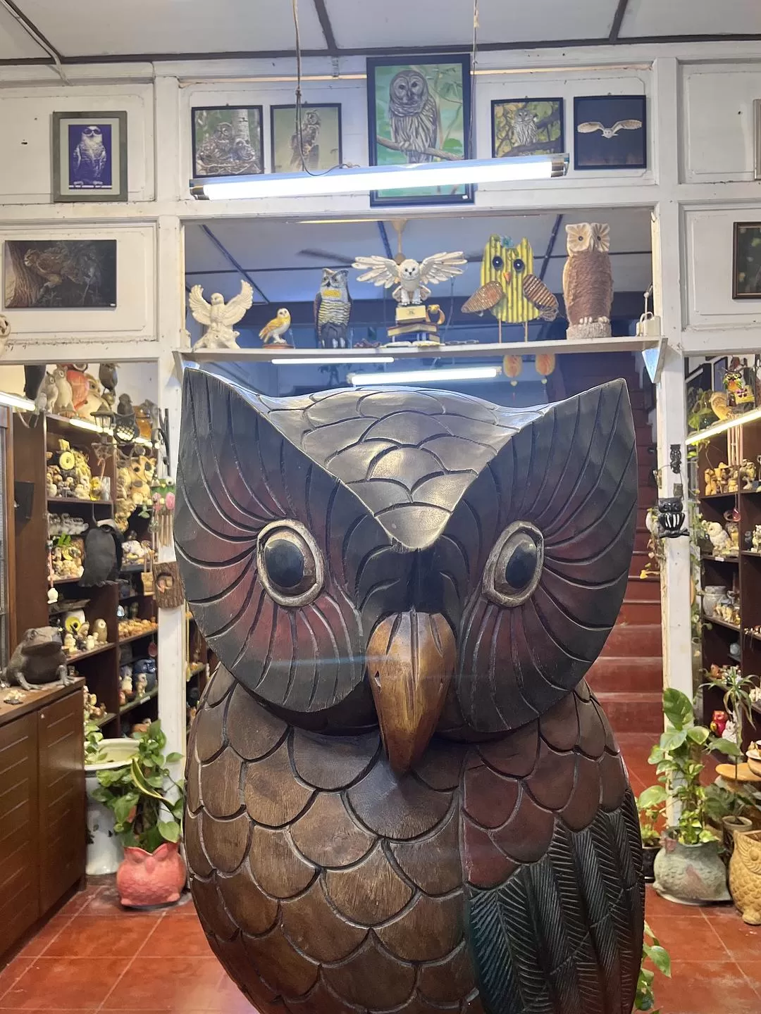 旅游推荐国外游:独闯马来西亚游记·蕉风椰🤬雨南洋梦-01槟城篇