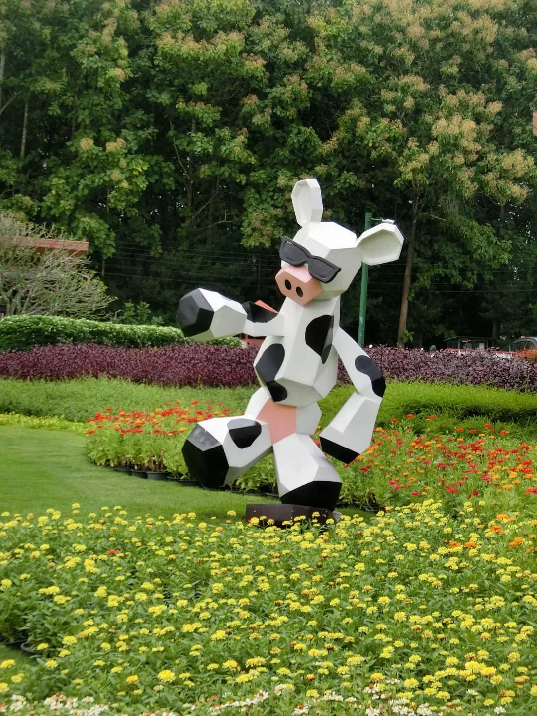 旅游推荐国外游：在泰北骑个车🚲，在泰南坐火车🚉玩点不一样的🥈！！（更完啦！大家有什么想多了解的我再补！）