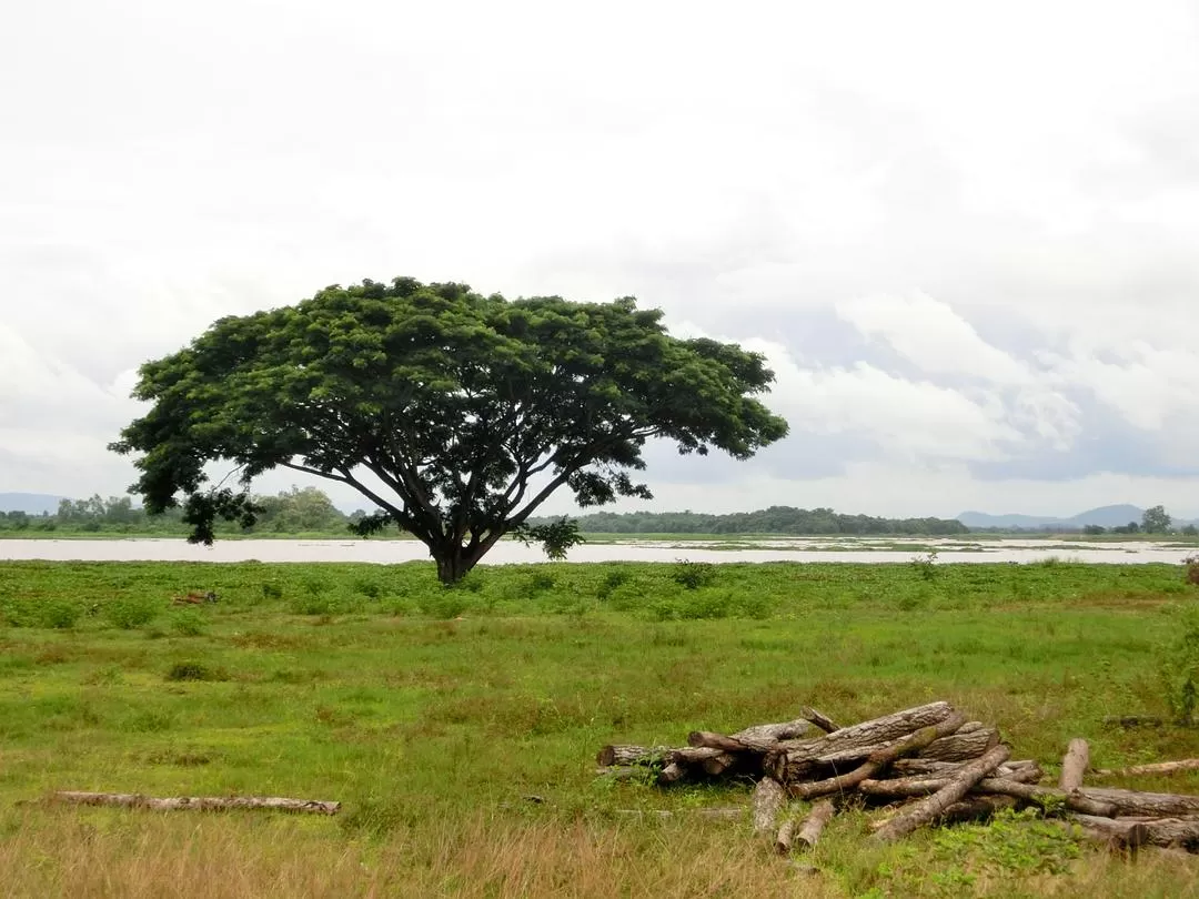 旅游推荐国外游：在泰北骑个车🚲，在泰南坐火车🚉玩点不一样的🥈！！（更完啦！大家有什么想多了解的我再补！）