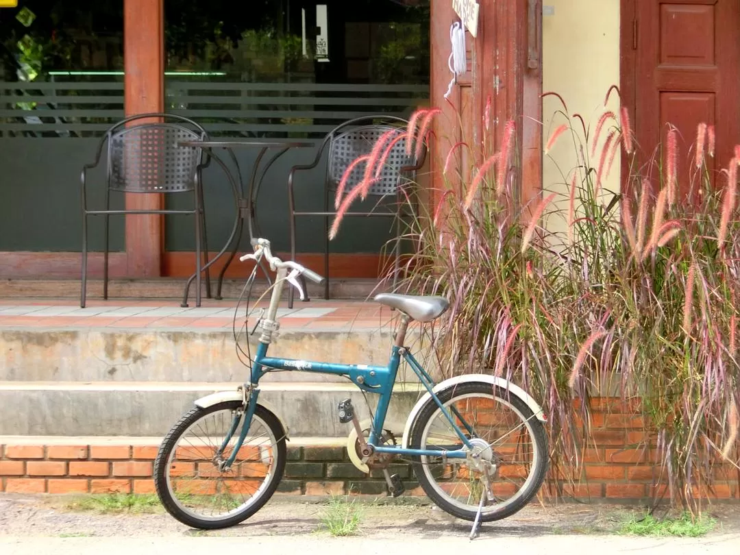 旅游推荐国外游：在泰北骑个车🚲，在泰南坐火车🚉玩点不一样的🥈！！（更完啦！大家有什么想多了解的我再补！）