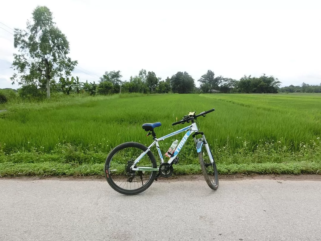 旅游推荐国外游：在泰北骑个车🚲，在泰南坐火车🚉玩点不一样的🥈！！（更完啦！大家有什么想多了解的我再补！）