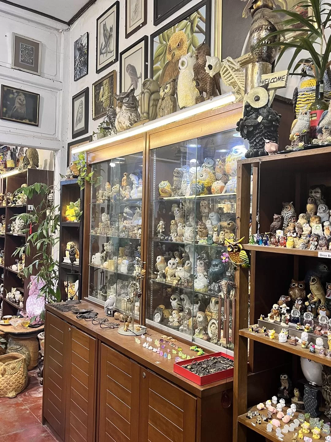 旅游推荐国外游：独闯马来西亚游记·蕉风椰🤬雨南洋梦-01槟城篇