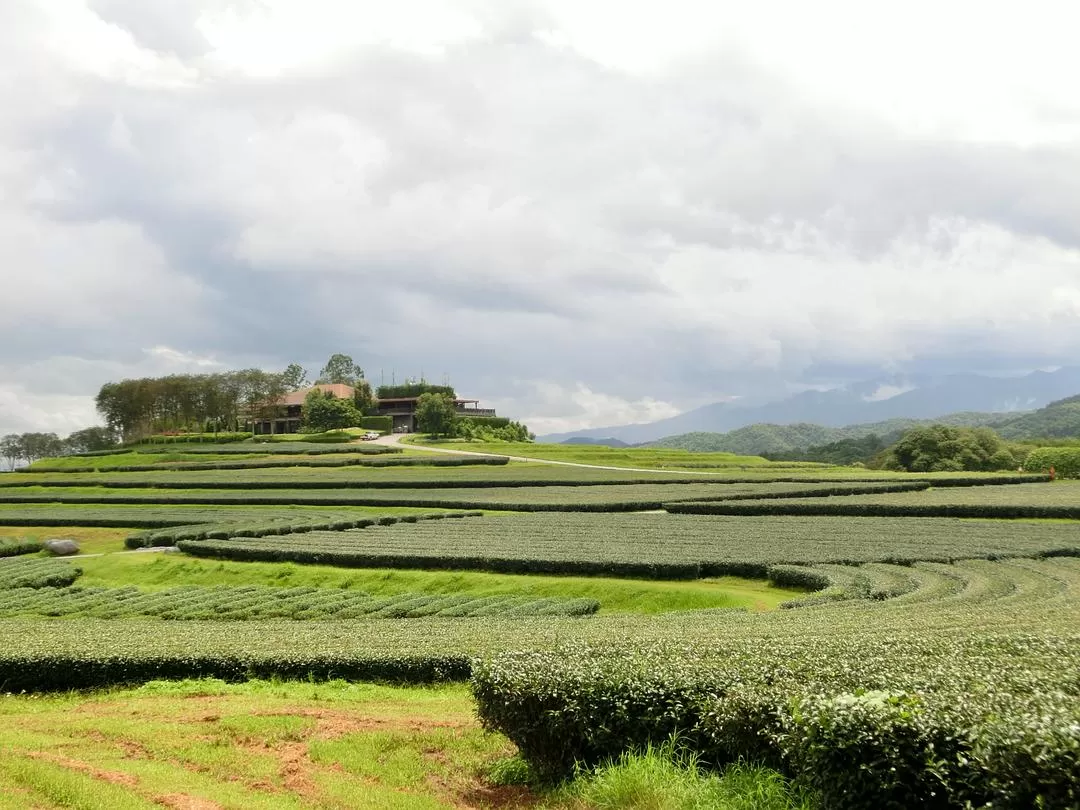 旅游推荐国外游：在泰北骑个车🚲，在泰南坐火车🚉玩点不一样的🥈！！（更完啦！大家有什么想多了解的我再补！）