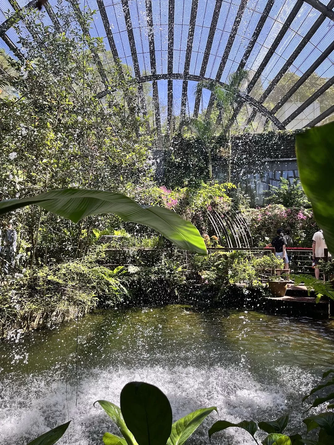 旅游推荐国外游：独闯马来西亚游记·蕉风椰🤬雨南洋梦-01槟城篇