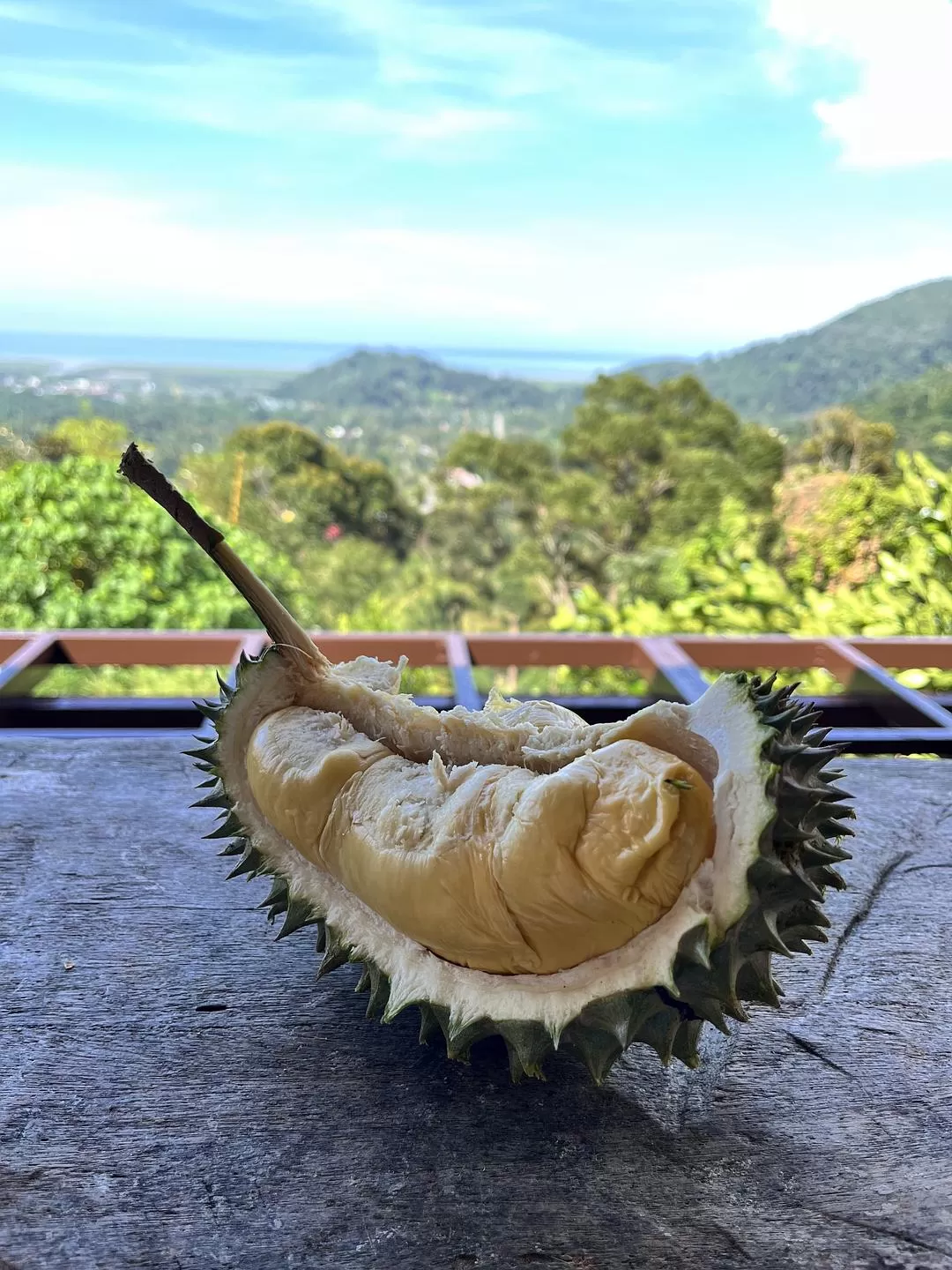 旅游推荐国外游：独闯马来西亚游记·蕉风椰🤬雨南洋梦-01槟城篇