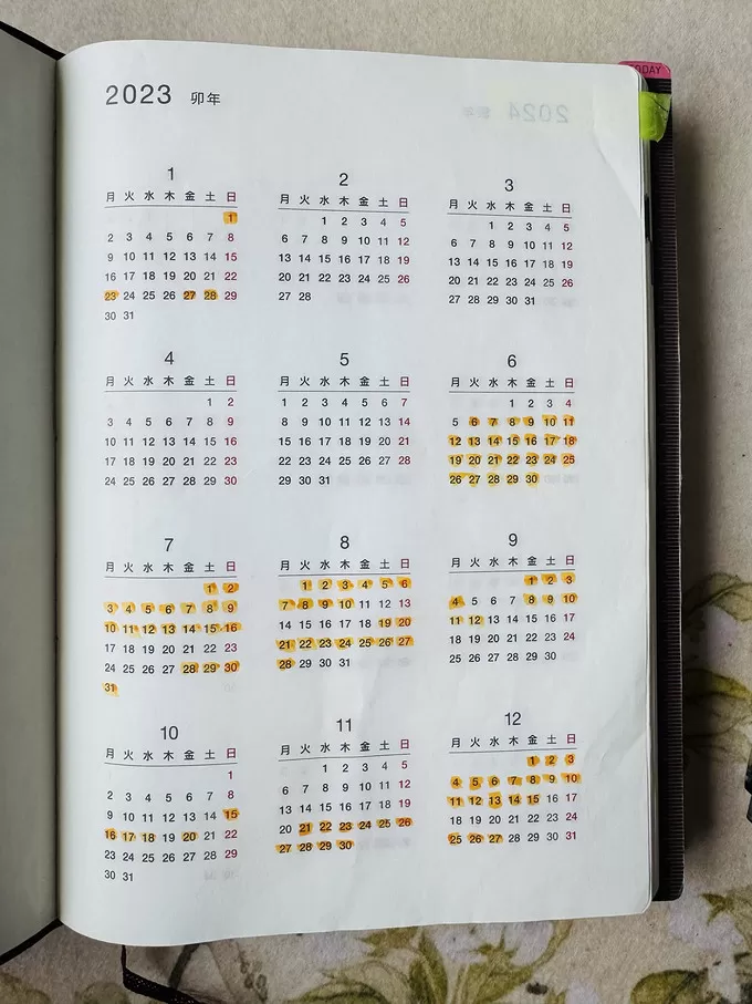 🌟我是那个花500+买了个本子的人年底了快来看看我翻车没有？