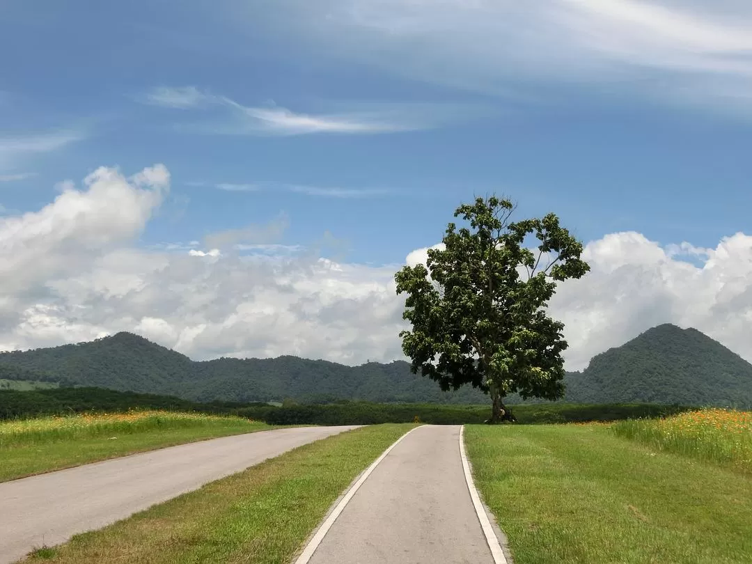 旅游推荐国外游：在泰北骑个车🚲，在泰南坐火车🚉玩点不一样的🥈！！（更完啦！大家有什么想多了解的我再补！）