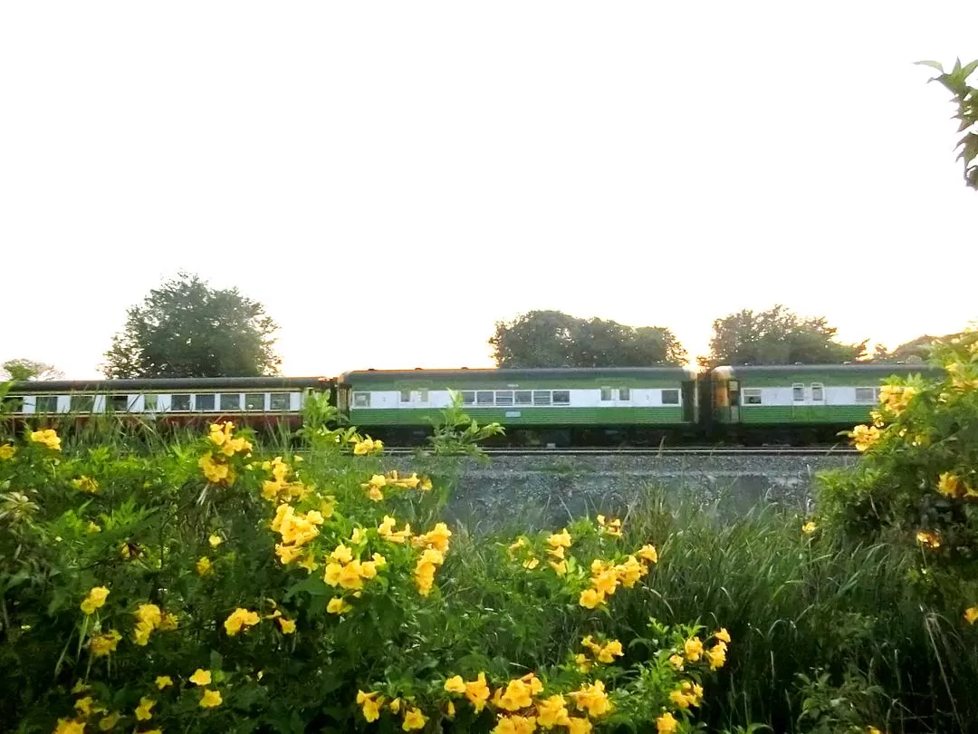 旅游推荐国外游：在泰北骑个车🚲，在泰南坐火车🚉玩点不一样的🥈！！（更完啦！大家有什么想多了解的我再补！）