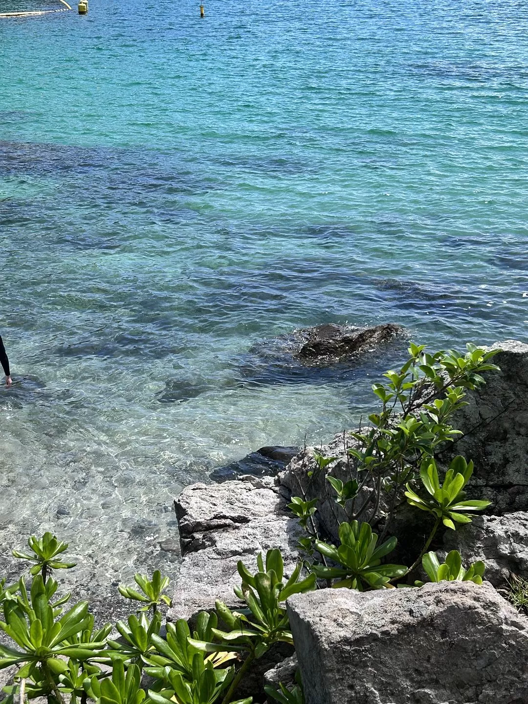旅游推荐两人💖游：去香港看果冻海