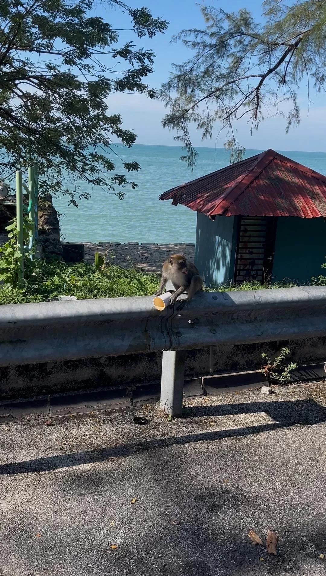 旅游推荐国外游:独闯马来西亚游记·蕉风椰🤬雨南洋梦-01槟城篇