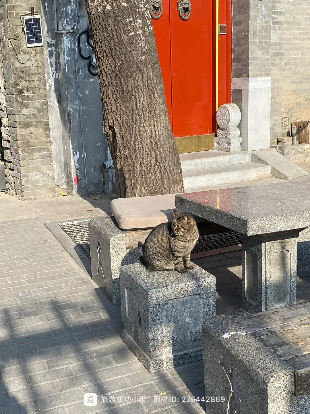 旅💞游推荐两人游：京津8日游