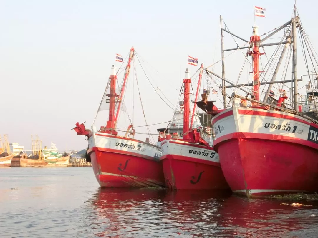 旅游推荐国外游：在泰北骑个车🚲，在泰南坐火车🚉玩点不一样的🥈！！（更完啦！大家有什么想多了解的我再补！）
