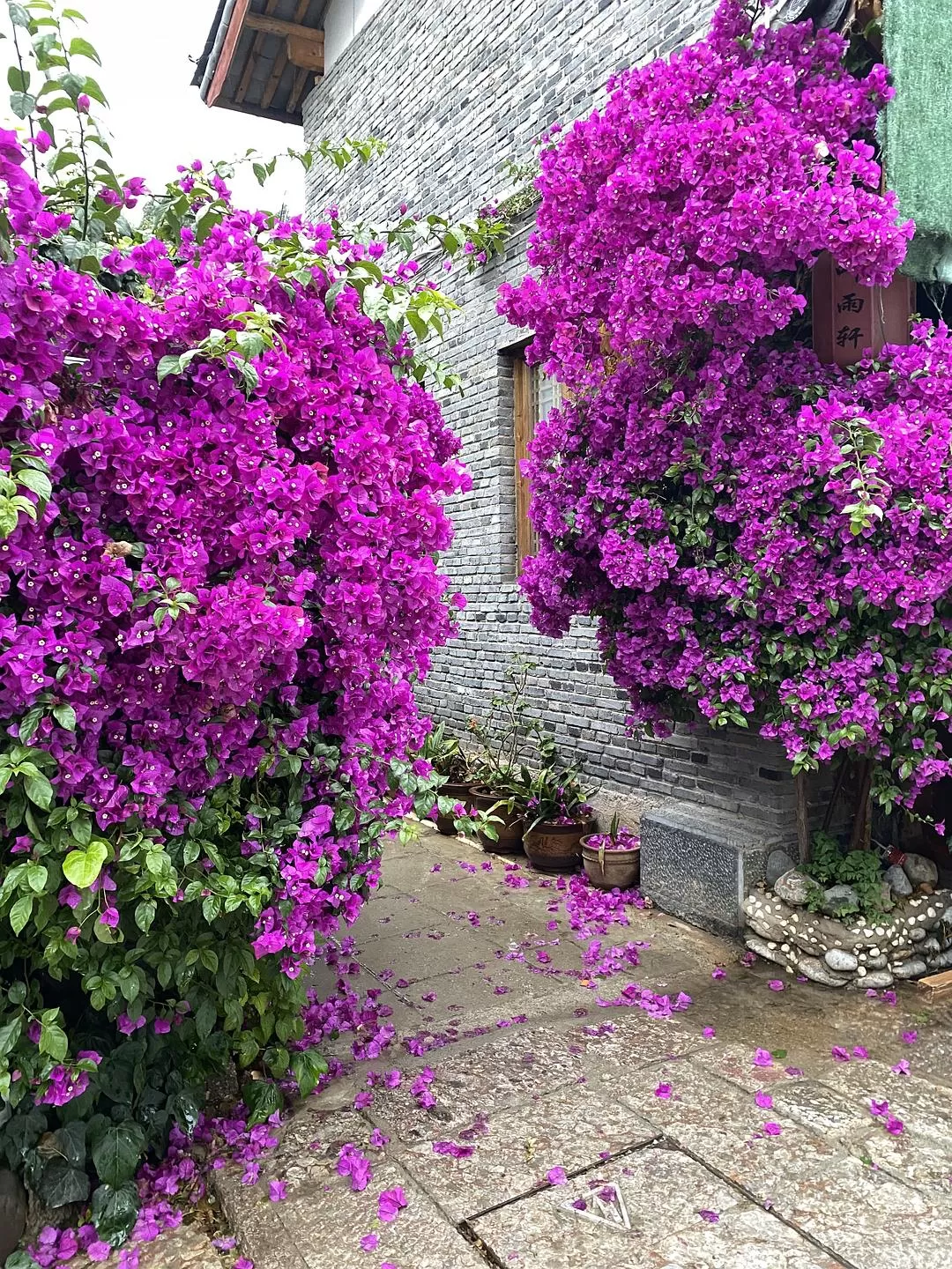 旅游推荐一人游：💓丽江游