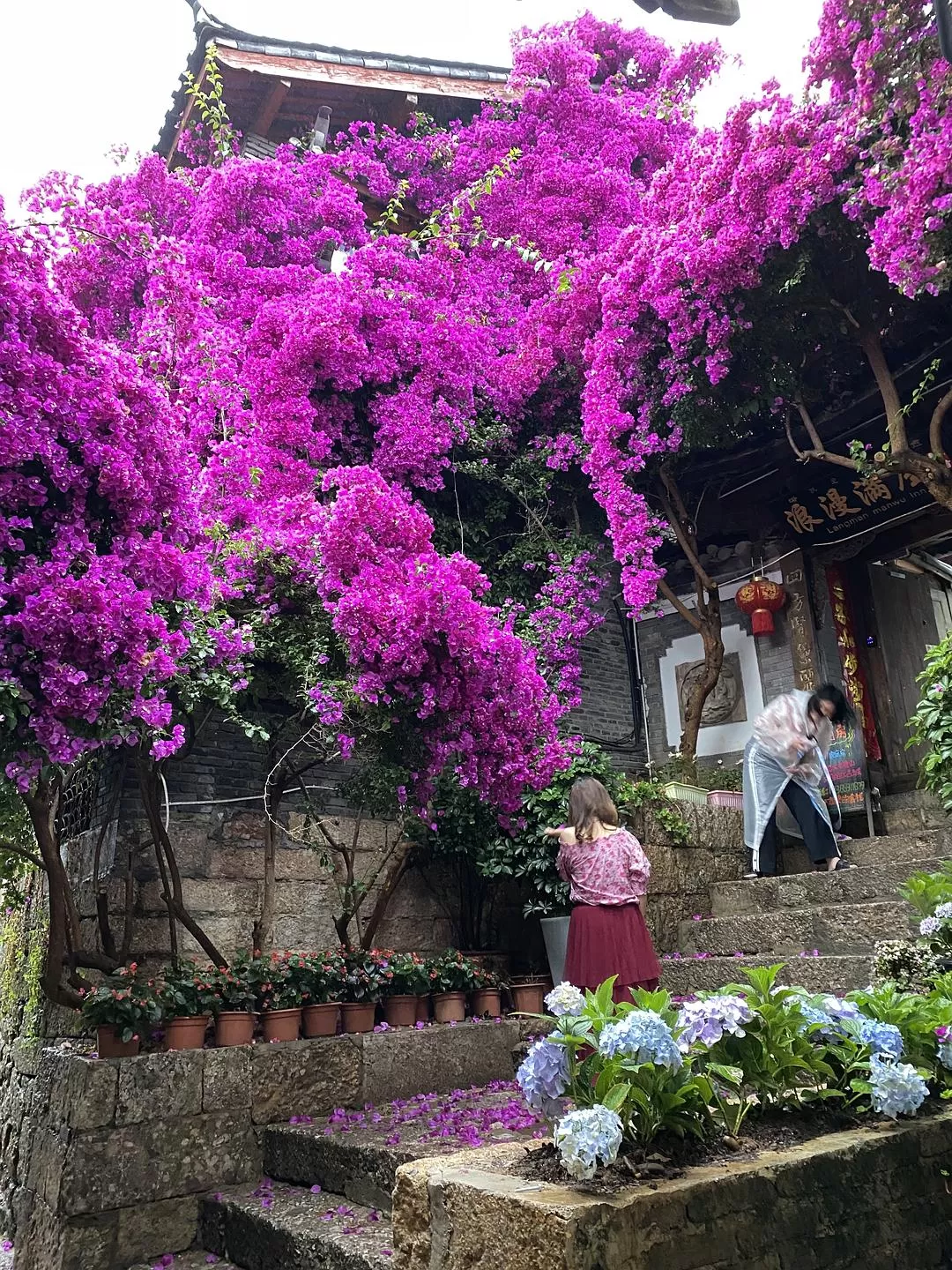 旅游推荐一人游：💓丽江游