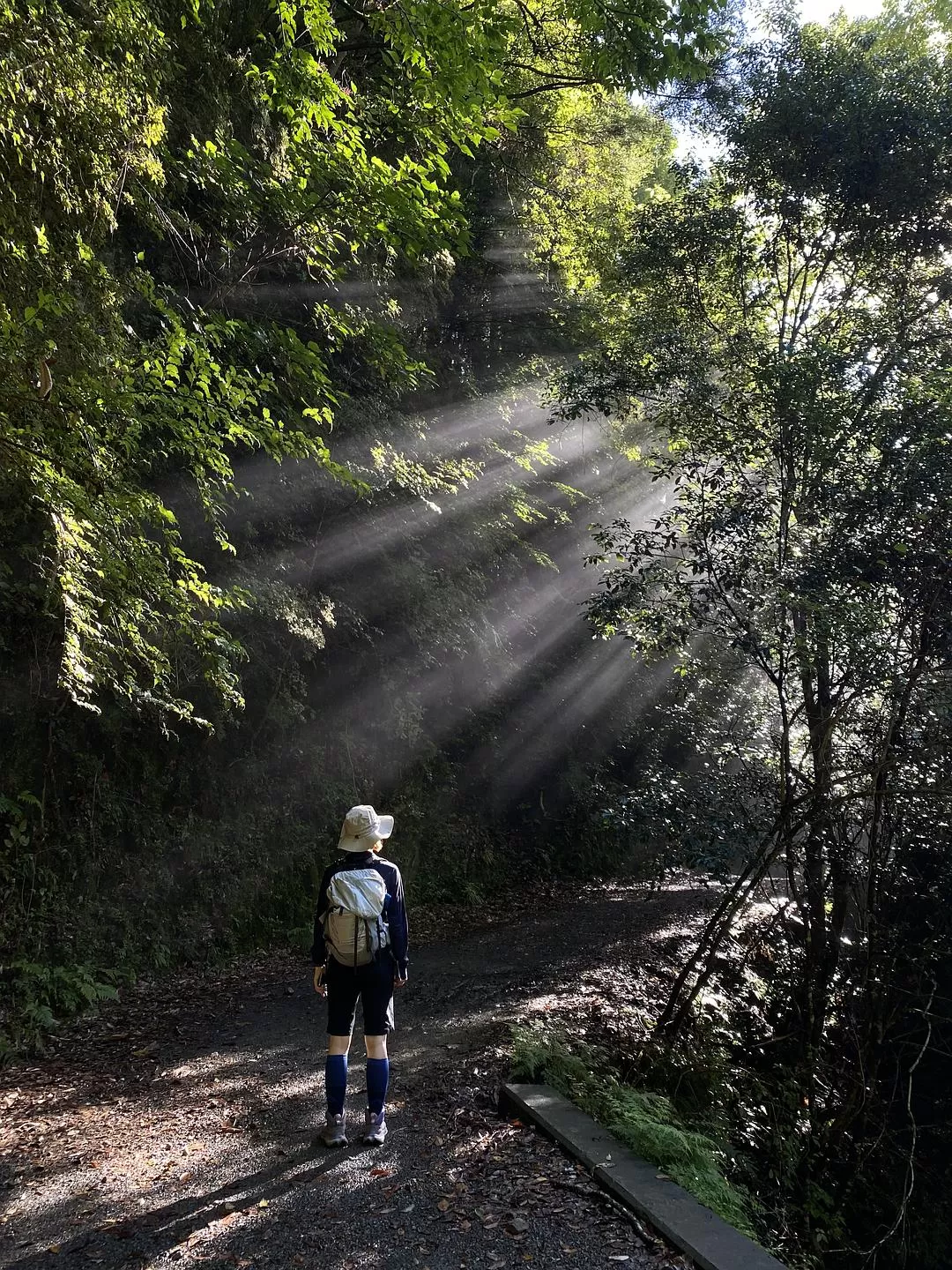 旅游推荐两💓人游：除了吃以外大成功之熊野古道徒步休闲之旅(更新30％)