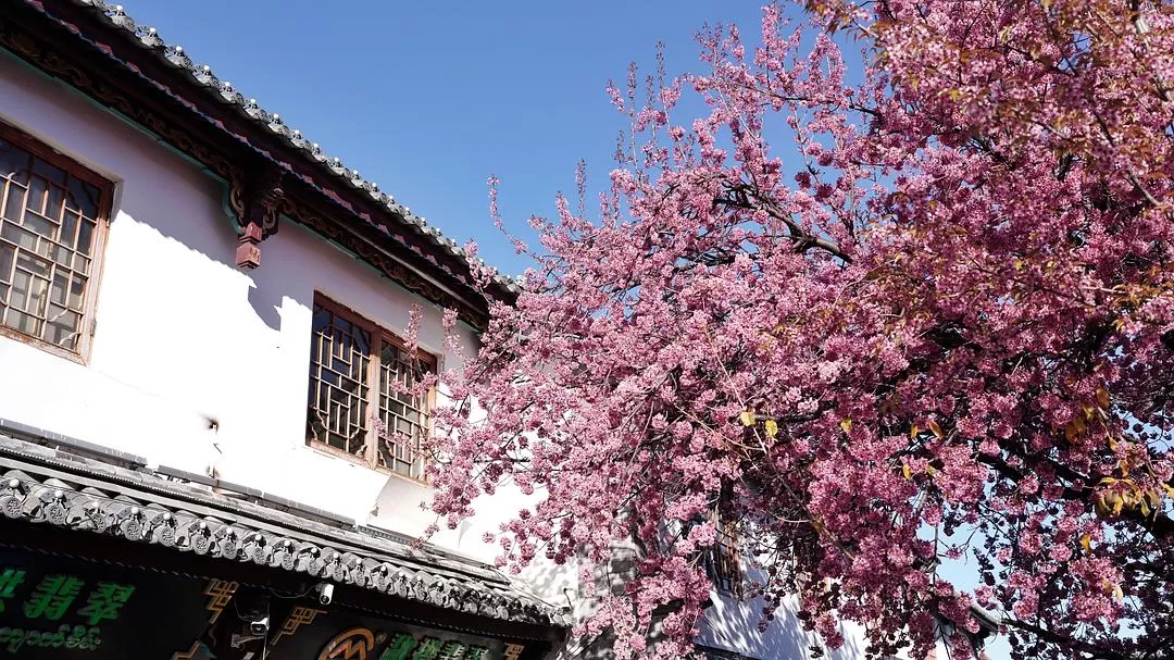 旅游推📢荐一人游：大理一个人的走走停停