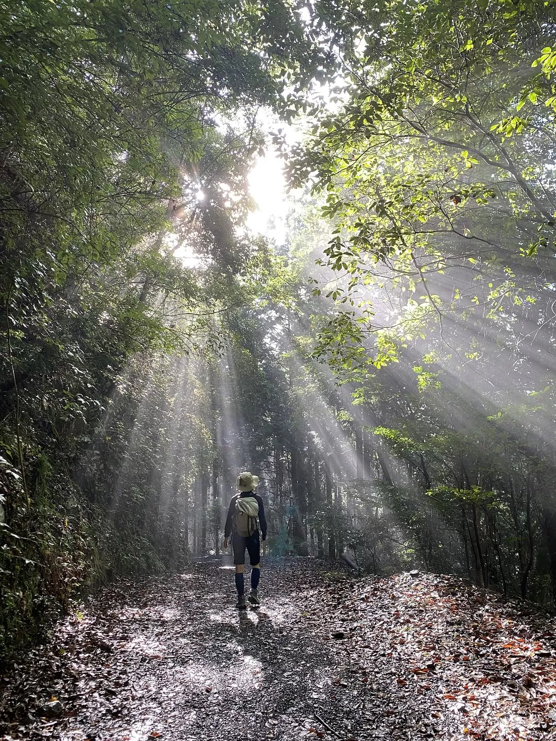 旅游推荐两💓人游：除了吃以外大成功之熊野古道徒步休闲之旅(更新30％)