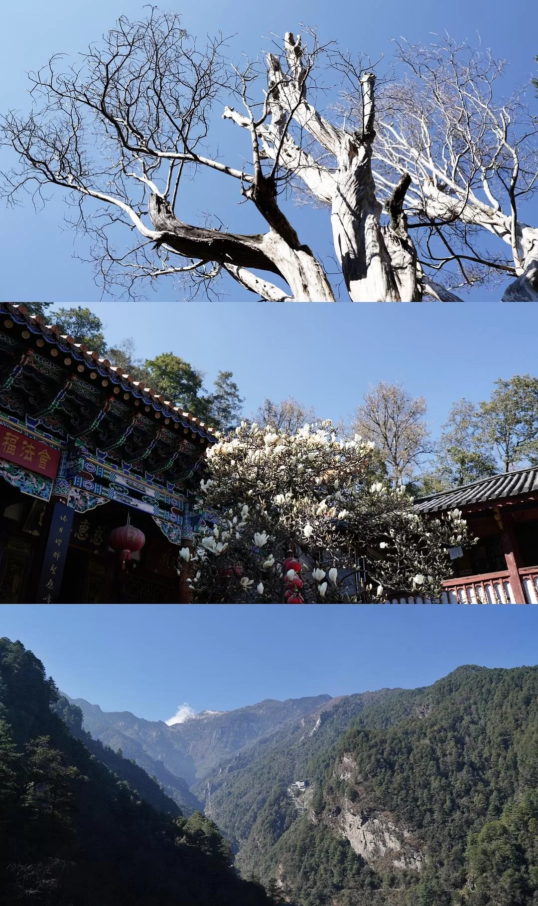 旅游推📢荐一人游：大理一个人的走走停停